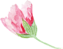 花手绘png
