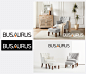 Busaurus 品牌logo设计构思及效果图