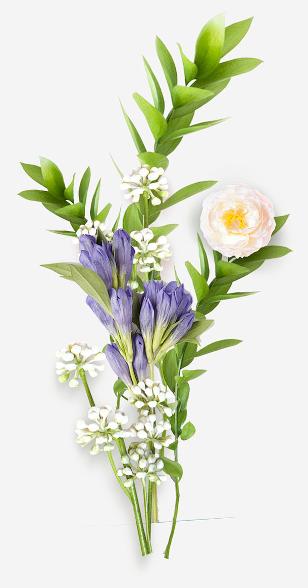 手绘一束鲜花png
