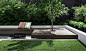 Clean lines and a simple palette of plants with different textures define this small courtyard garden. An outdoor room entertaining space and different levels provide easy living and a valuable asset that will grow and improve with time.