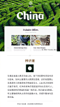 优秀网页设计的照片 - 微相册