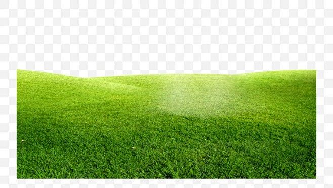 草地绿草草自然草坪绿地春天草丛野草png