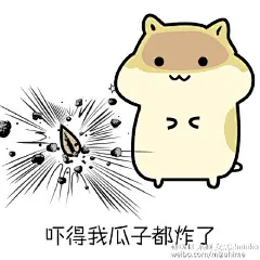 松鼠瓜子表情包 HD版 v1.0 DHR動研字幕組出品，PNG 800x800，共15个表情，打包下载链接：O网页链接