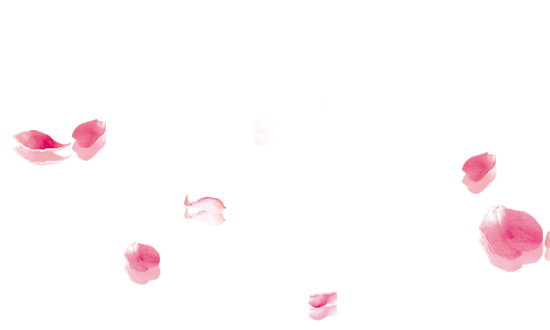 玫瑰花瓣#落叶#花朵png#素材#漂浮
