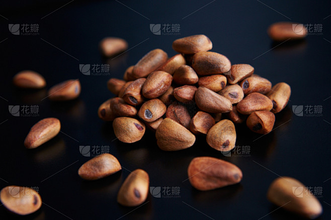 松籽,自然界的状态,背景分离,食品,成分,坚果,干花,堆,胡桃树,背景