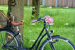 自行车 笔记本电脑壁纸 车轮 循环 免费壁纸 运动 自由背景