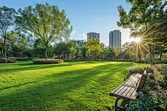 城市小区楼盘景观绿化