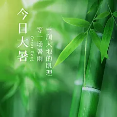 大暑节气问候祝福方形海报