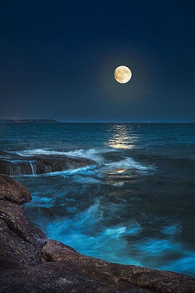 海上生明月，天涯共此时。今天有没有和你最爱的人一起赏月呢。