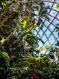 室内植物园