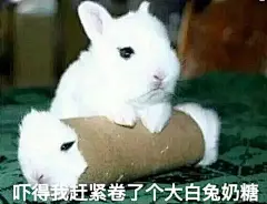 感谢小仙女喜欢 表情包 更新噜！