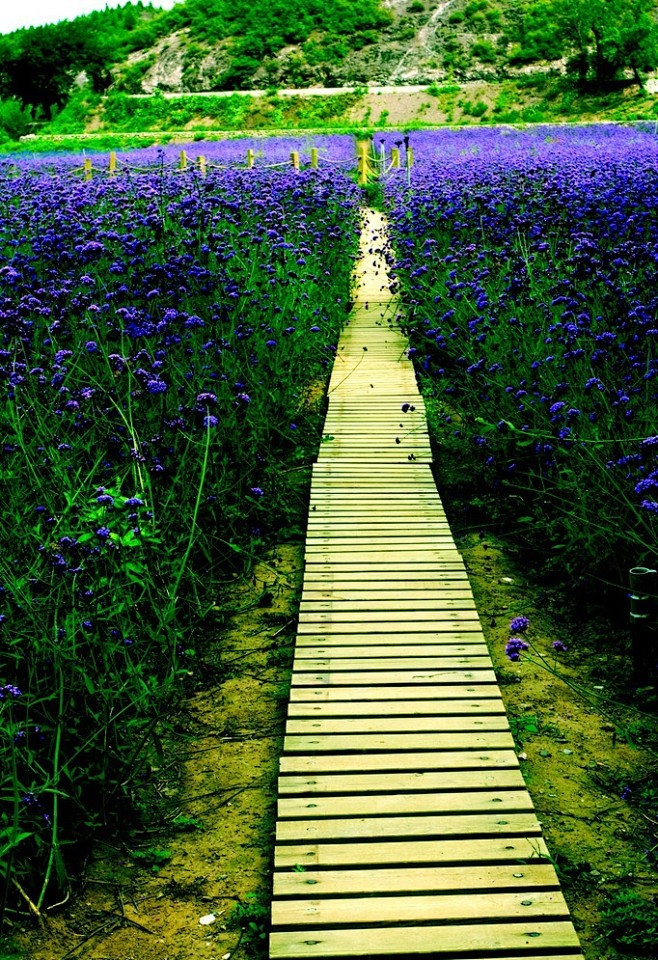 杨元溪从~小迷糊~转采于2014-12-20 10:15:41undefined待归类采集杨元