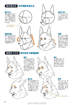 米米米米米斯特牛采集到教程