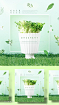 【乐分享】夏季树叶植物叶子海报PSD素材_平面素材_乐分享-设计共享素材平台 www.lfx20.com