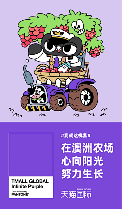 joyce_666采集到IP