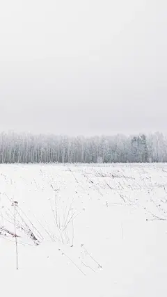 【高清手机壁纸。风景美图。城市风光摄影。设计灵感。桌面锁屏。日系韩系欧美。小清新。】❤️