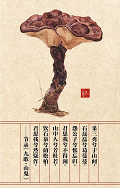 樱翼君采集到花朵素材