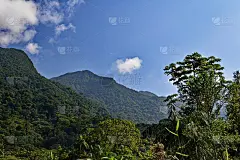 大西洋森林的风景