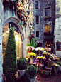 法国安纳西小花店#遇见更美的风景#