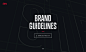 STRV Brand Guidelines website