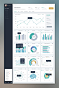 Most common type of dashboard. Dark left menu with highlights on the top and then a neat layout of charts: 