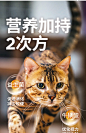 有鱼猫咪主食餐包餐盒猫罐头主食罐猫湿粮成猫幼猫全价猫粮60g*8-tmall.com天猫