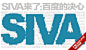 年11月1日，整合营销之父及4R理论的提出者唐•舒尔茨教授来到中国，为行业带来全新的整合营销理论——SIVA（solution,information,value,access）。这个基于搜索引擎营销的理论做到了让一切回归到消费者的角度，从消费者主动搜索寻求解决方案出发，进而完成品牌与消费者的沟通。唐•舒尔茨认为信息技术改变了整个市场，消费者决定何时、何地、从什么地方购买何种商品，营销人员必须及时响应以帮助消费者达成目标。
 
本次理论提出的同时，唐•舒尔茨还与国内搜索引擎巨头百度合作，组建联合研究团队，