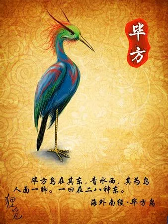 毕方-花瓣网