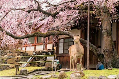 杰西Q采集到旅行风景