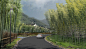 [浙江]湖州安吉桃花源景观方案设计（养生，格调）-A15道路景观效果图