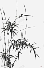 ee841e4c82cfa1c3e1aec5019ed0896fdc2a905c5c01-DcivDQ_fw658webp