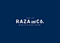 Raza and Co.