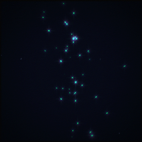 Stars Glow GIF by Er...