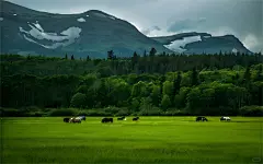 超级超级高清的平板电脑壁纸_1_好运小爆棚_来自小红书网页版