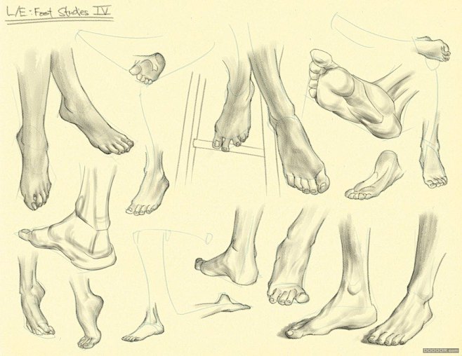 百家人体结构画法 之 脚部-足部动作