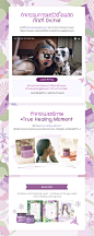 Innisfree : Selection of email/promotional designs done for Innisfree Thailand