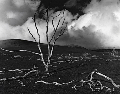 peggysuns采集到Brett Weston