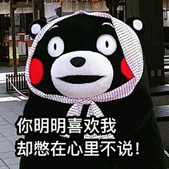 #情人节表情包# #搞笑# #爱情#熊本熊表情包#