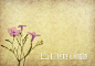 紫薇花 - 搜索结果 - 图虫创意图库正版图片,视频,插图,微博微信公众号配图,自媒体素材