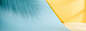 静物,撞色,场景,海报banner,摄影,风景图库,png图片,网,图片素材,背景素材,2508003@飞天胖虎