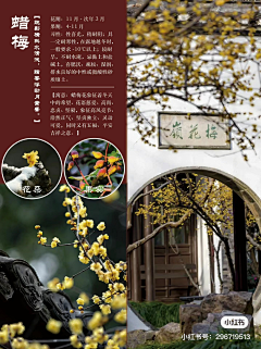 景观达达采集到绿化