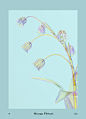 Strange Flowers : This is an experimental work,I tried to combine colorful glass and flowers to produce this gorgeous and transparent material
