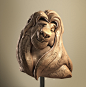 itay-schlesinger-simba