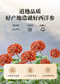 【百年康象】西洋参粉250克 长白山特产超细粉 花旗参粉 配小勺可搭三七粉散装非进口 半斤【图片 价格 品牌 报价】-京东