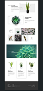 Botanique : Website concept 植物网站概念设计 简约 #排版#