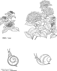 、不经意的在脑海中浮现你采集到画技