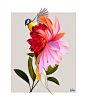 Hybrids. Botanical Illustration : Hybrids. Botanical illustrations, digital art