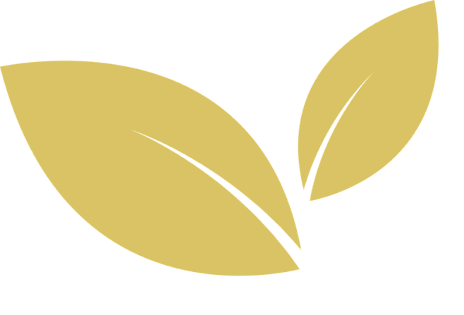 Leaf icon.