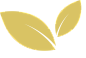 Leaf icon.