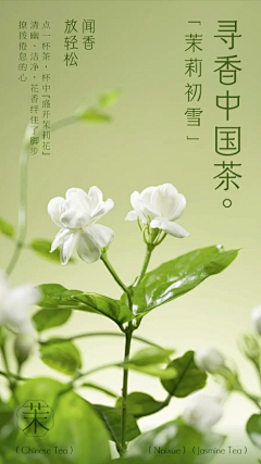 smile_sancy采集到营销海报